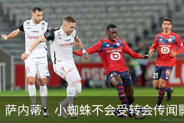 萨内蒂：小蜘蛛不会受转会传闻影响 帕斯可能成为阿根廷关键球员